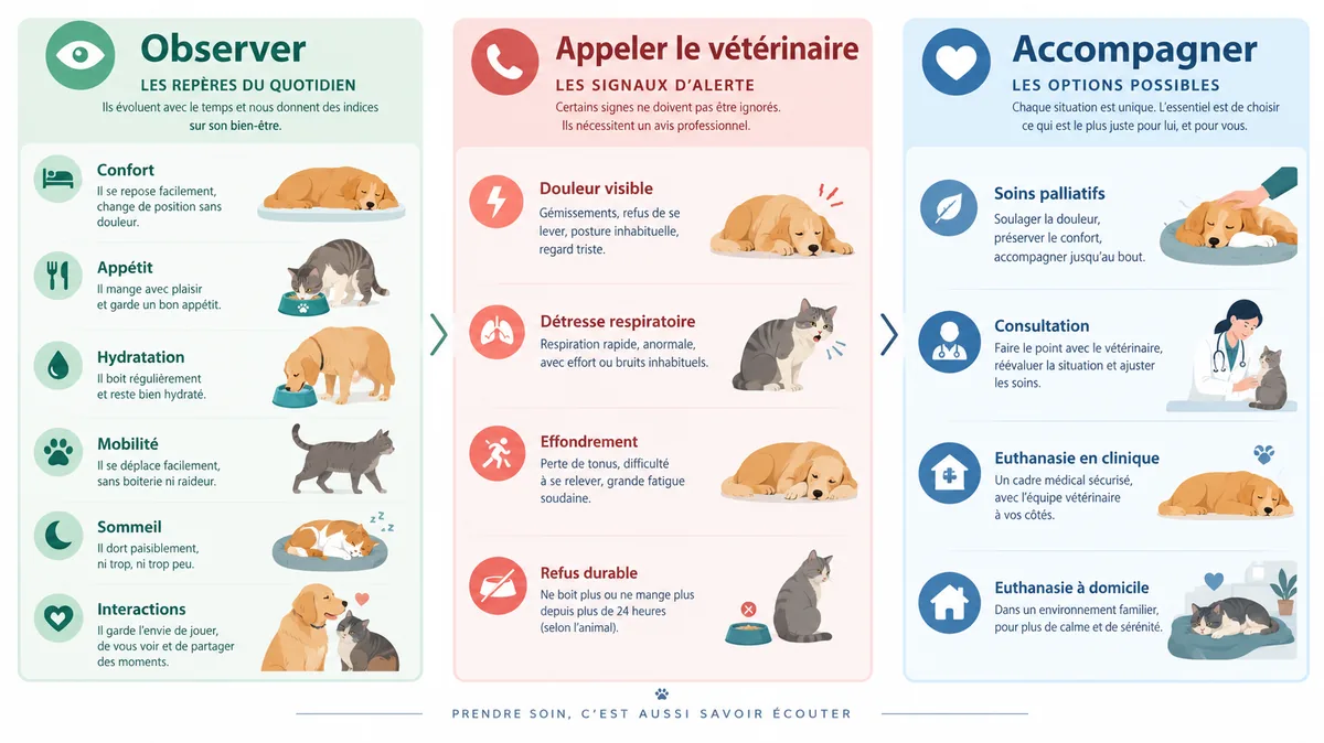 Repères qualité de vie et urgence chez le chien